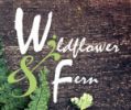 Wildflower and Fern Logo